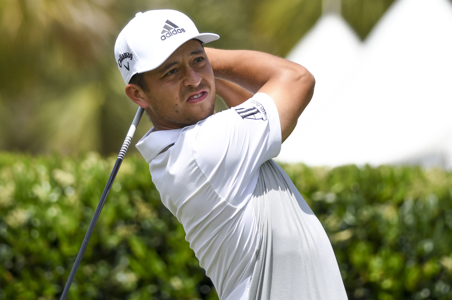 RBC Heritage Golf